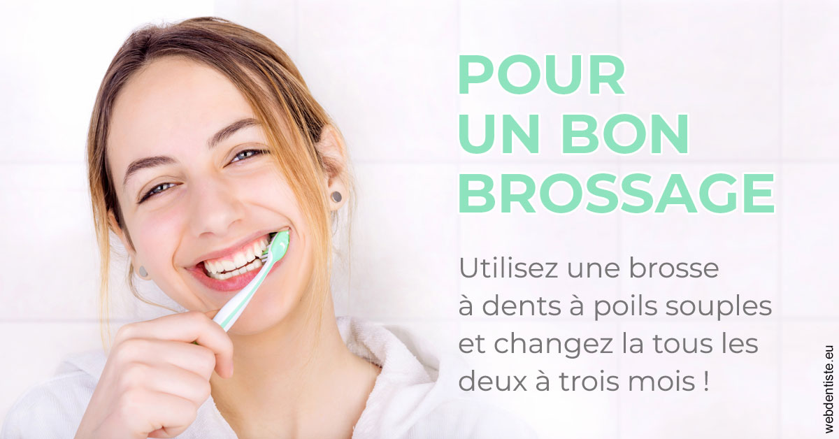 https://selarl-centre-dentaire-arceaux.chirurgiens-dentistes.fr/Pour un bon brossage 2