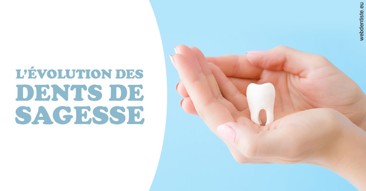 https://selarl-centre-dentaire-arceaux.chirurgiens-dentistes.fr/Evolution dents de sagesse 1