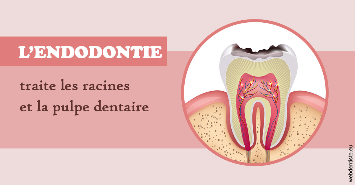 https://selarl-centre-dentaire-arceaux.chirurgiens-dentistes.fr/L'endodontie 2