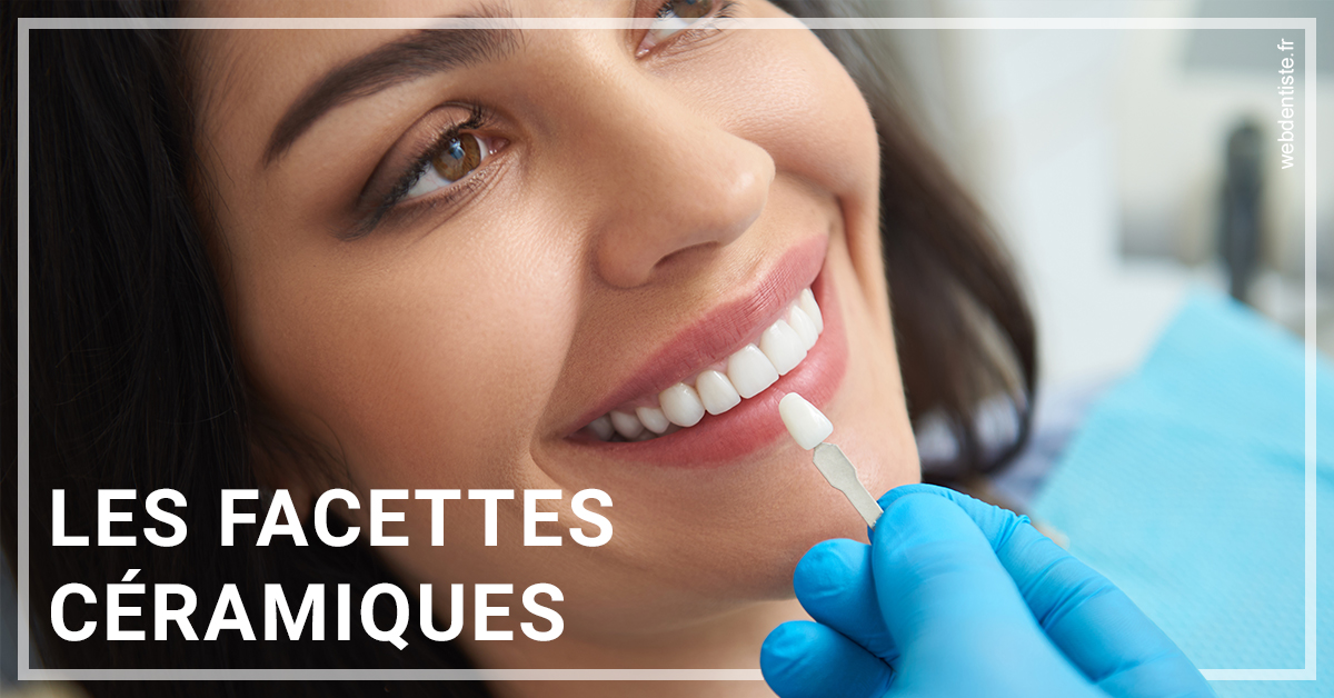 https://selarl-centre-dentaire-arceaux.chirurgiens-dentistes.fr/Les facettes céramiques 1