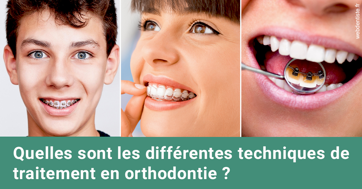 https://selarl-centre-dentaire-arceaux.chirurgiens-dentistes.fr/Les différentes techniques de traitement 2