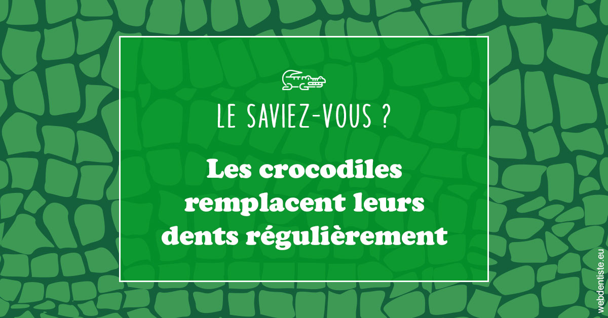 https://selarl-centre-dentaire-arceaux.chirurgiens-dentistes.fr/Crocodiles 1